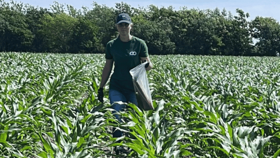 Billede til Afgrødenyt-1