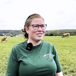 36b0223d-dd3d-490b-ba87-de59609eb38a