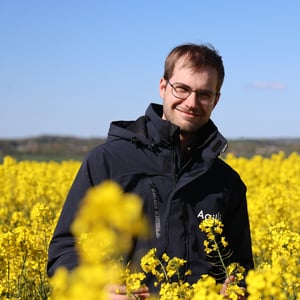 Pløjefri dyrkning