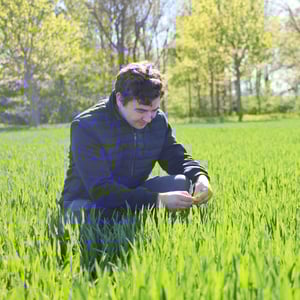 Overvejer du at omlægge til økologisk landbrug