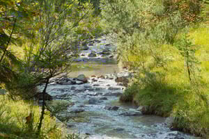 Vandløbsvedligehold