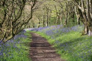 Naturkonsekvensvurderinger