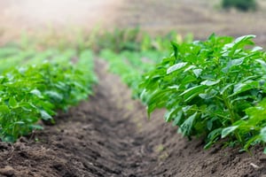 Søg job i landbruget