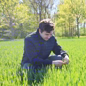 Mark- og gødningsplan
