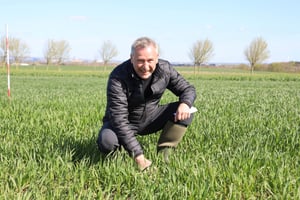 Markplan og gødningsplan