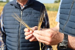 Regenerativt-landbrug