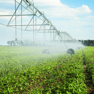 Vandindvinding og markvanding