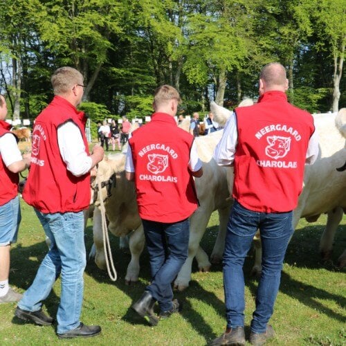 Fjerritslev Dyrskue - stemningsbilleder (18)